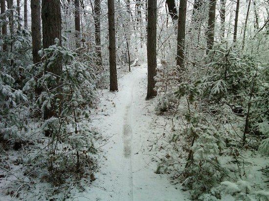 Lowes Creek County Park